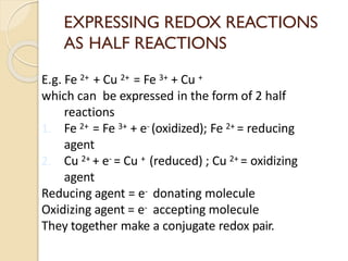 Biological oxidation | PDF