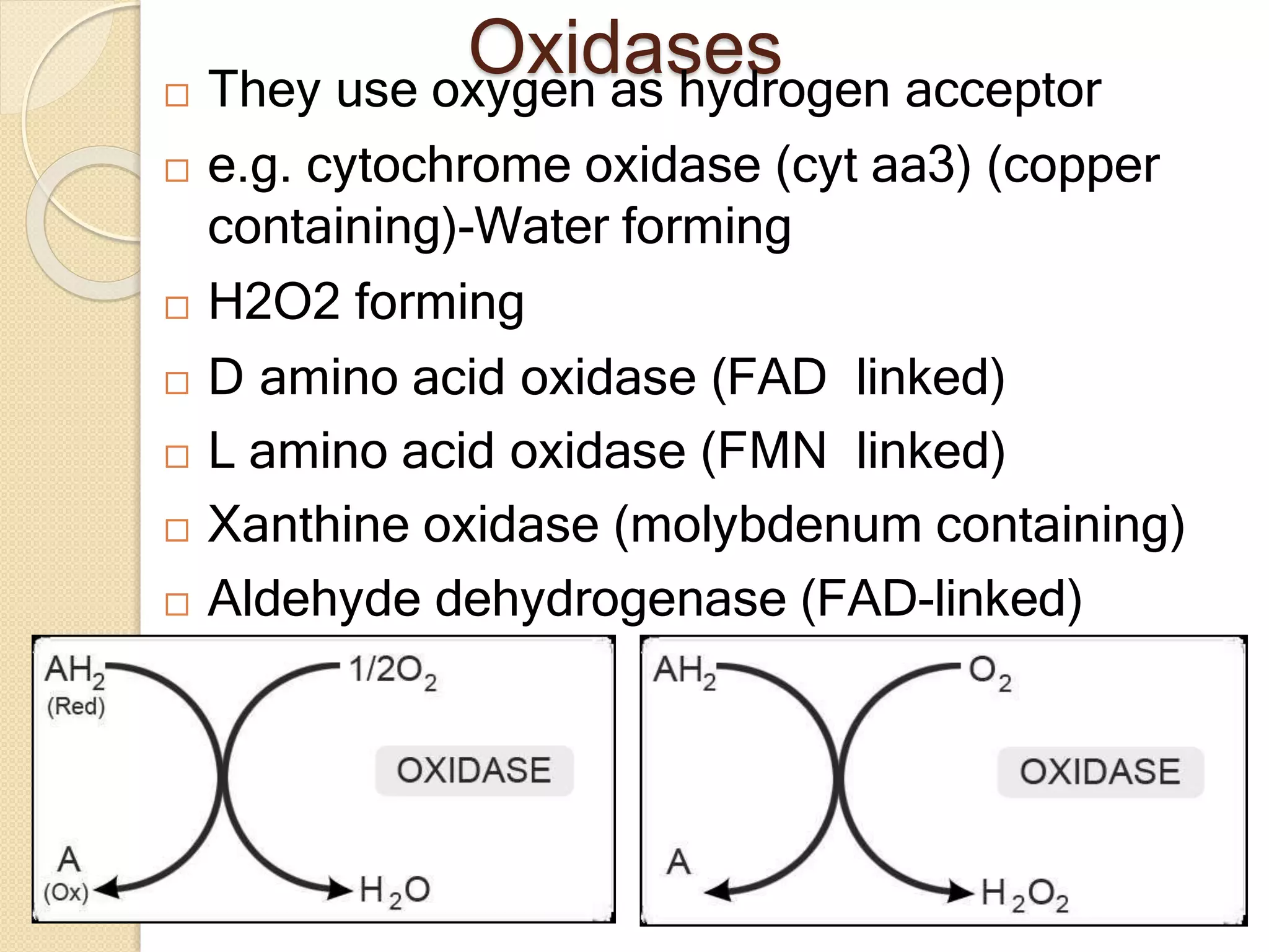 Biological oxidation | PDF