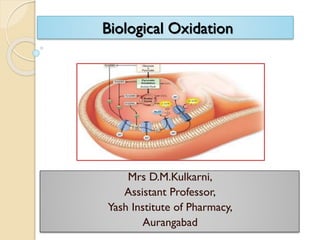 Biological Oxidation
Mrs D.M.Kulkarni,
Assistant Professor,
Yash Institute of Pharmacy,
Aurangabad
 
