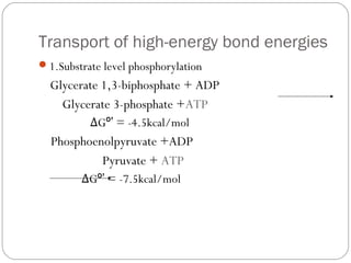 Transport of high-energy bond energies
1.Substrate level phosphorylation

Glycerate 1,3-biphosphate + ADP
Glycerate 3-phosphate +ATP
ΔGº’ = -4.5kcal/mol

Phosphoenolpyruvate +ADP
Pyruvate + ATP
ΔGº’ = -7.5kcal/mol

 