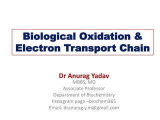 Biological Oxidation &
Electron Transport Chain
Dr Anurag Yadav
MBBS, MD
Associate Professor
Department of Biochemistry
Instagram page –biochem365
Email: dranurag.y.m@gmail.com
 