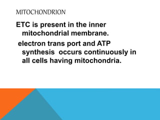 MITOCHONDRION
ETC is present in the inner
mitochondrial membrane.
electron trans port and ATP
synthesis occurs continuously in
all cells having mitochondria.
 