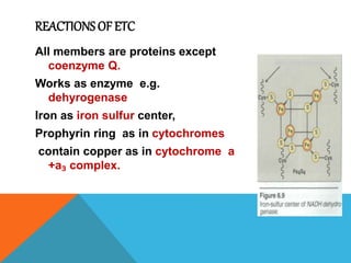 REACTIONS OF ETC
All members are proteins except
coenzyme Q.
Works as enzyme e.g.
dehyrogenase
Iron as iron sulfur center,
Prophyrin ring as in cytochromes
contain copper as in cytochrome a
+a₃ complex.
 