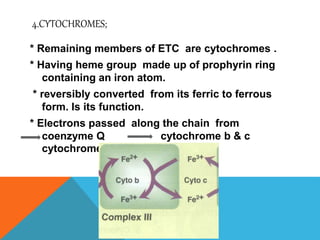 4.CYTOCHROMES;
* Remaining members of ETC are cytochromes .
* Having heme group made up of prophyrin ring
containing an iron atom.
* reversibly converted from its ferric to ferrous
form. Is its function.
* Electrons passed along the chain from
coenzyme Q cytochrome b & c
cytochrome a + a₃ .
 