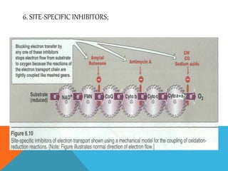 6. SITE-SPECIFIC INHIBITORS;
 