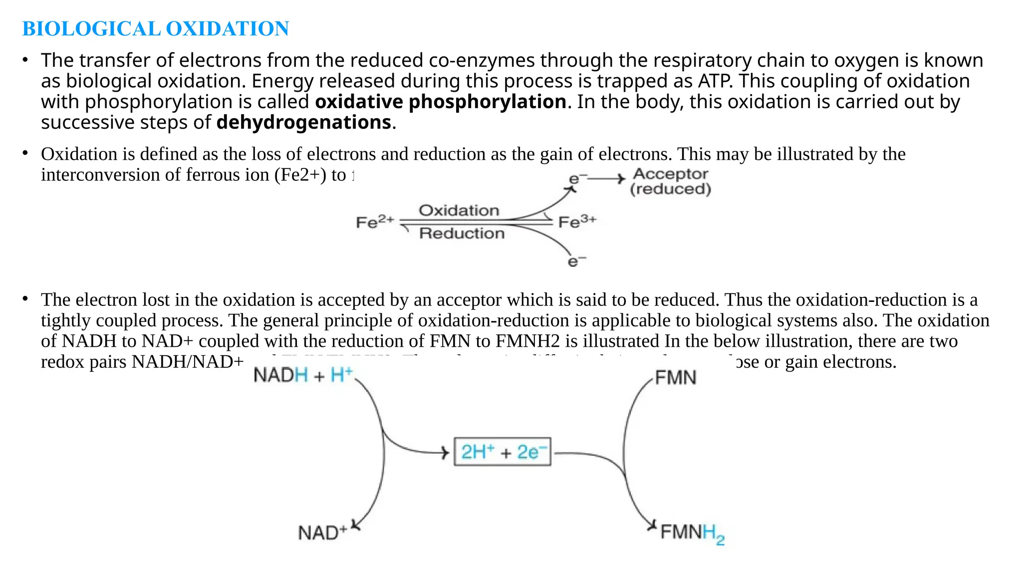 Biological oxidation And ETC by BNP.pptx