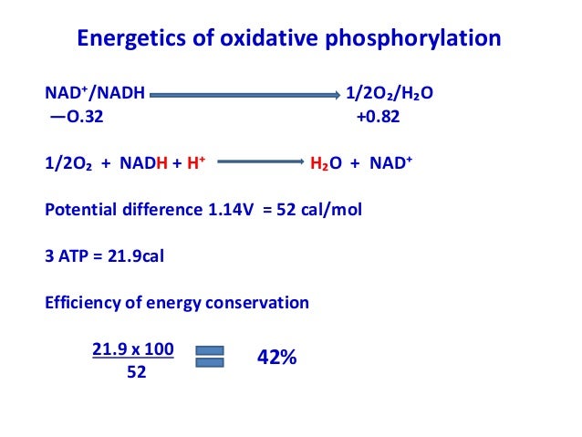 Biological Oxidation I - 