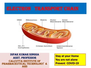 ELECTRON TRANSPORT CHAIN
DIPAK KUMAR SINGHA
ASST. PROFESSOR
CALCUTTA INSTITUTE OF
PHARMACEUTICAL TECHNOLOGY &
AHS
Stay at your Home
You are not alone
Prevent COVID-19
 