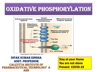 OXIDATIVE PHOSPHORYLATION
DIPAK KUMAR SINGHA
ASST. PROFESSOR
CALCUTTA INSTITUTE OF
PHARMACEUTICAL TECHNOLOGY &
AHS
Stay at your Home
You are not alone
Prevent COVID-19
 