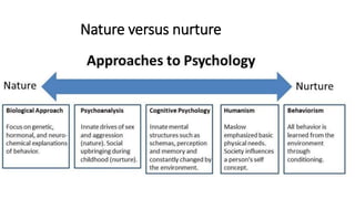 Biological Psychology Examples