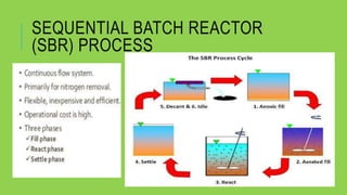 Biological phosphorus removal for waste water treatment | PPTX