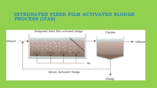 biological phosphorus removal in wastewater treatment