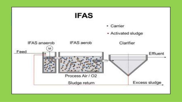 biological phosphorus removal in wastewater treatment