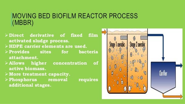 biological phosphorus removal in wastewater treatment