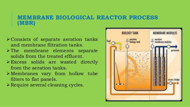 biological phosphorus removal in wastewater treatment
