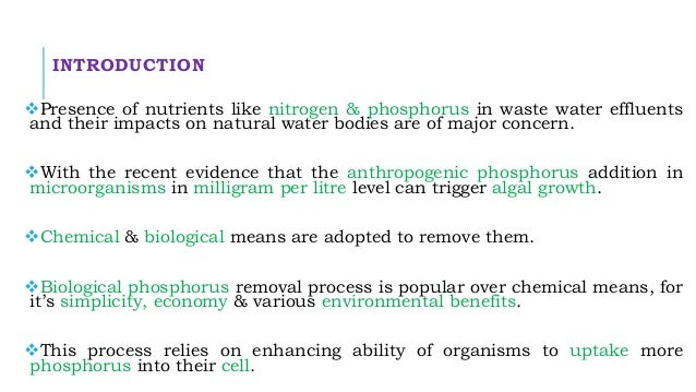 biological phosphorus removal in wastewater treatment