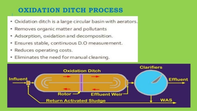 biological phosphorus removal in wastewater treatment