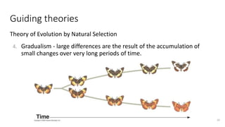 Biological Principles and the Science of Zoology Presentation | PPTX