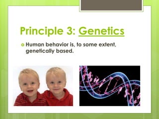 Principle 3: Genetics 
 Human behavior is, to some extent, 
genetically based. 
 