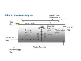Biological Processes Pptx