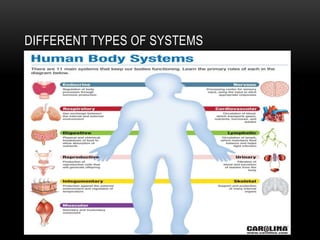DIFFERENT TYPES OF SYSTEMS
 