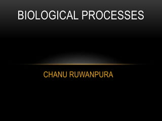 CHANU RUWANPURA
BIOLOGICAL PROCESSES
 