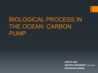 BIOLOGICAL PROCESS IN
THE OCEAN: CARBON
PUMP
ADITYA DAS
COTTON UNIVERSITY, 2018-2020
GUWAHATI,ASSAM
 