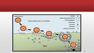 Biological process involved in drug targetting | PPTX