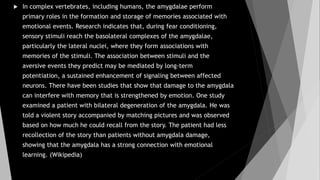 Biological process of memory | PPTX