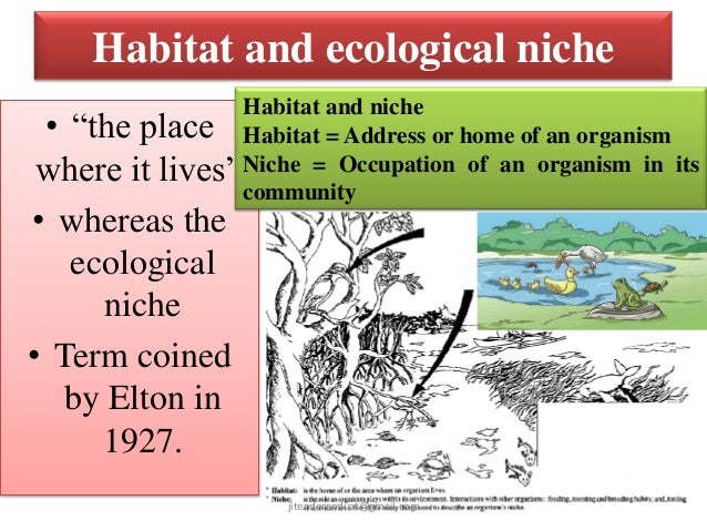 Biological productivity of water bodies