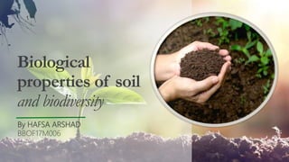 Biological
properties of soil
and biodiversity
By HAFSA ARSHAD
BBOF17M006
 