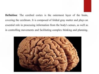 biological psychology 2 for psychology students.pptx