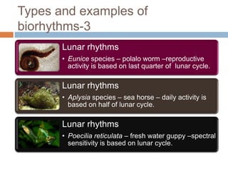 Biological rhythms | PPTX