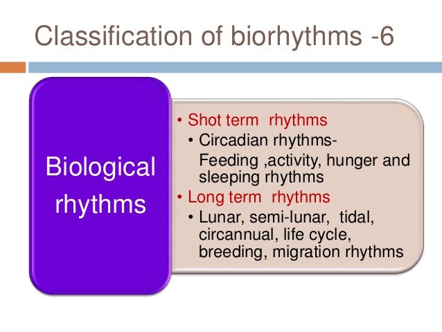 biological-rhythms
