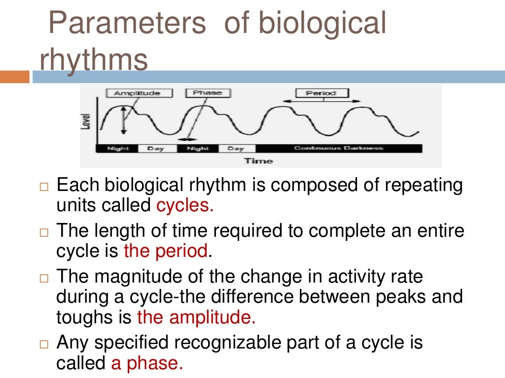 Biological rhythms