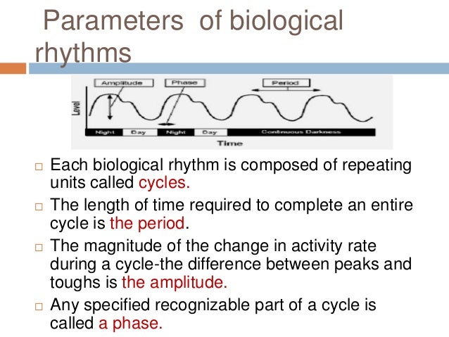 büchis monadic second order successor