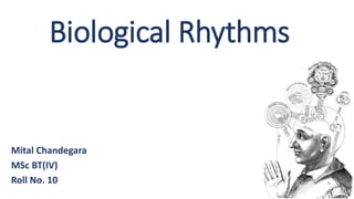 Biological Rhythms
Mital Chandegara
MSc BT(IV)
Roll No. 10
 
