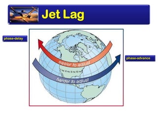 Jet Lag
phase-advance
phase-delay
 