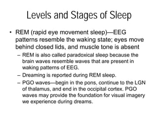 Levels and Stages of Sleep
• REM (rapid eye movement sleep)—EEG
patterns resemble the waking state; eyes move
behind closed lids, and muscle tone is absent
– REM is also called paradoxical sleep because the
brain waves resemble waves that are present in
waking patterns of EEG.
– Dreaming is reported during REM sleep.
– PGO waves—begin in the pons, continue to the LGN
of thalamus, and end in the occipital cortex. PGO
waves may provide the foundation for visual imagery
we experience during dreams.
 