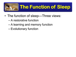 The Function of Sleep
• The function of sleep—Three views:
– A restorative function
– A learning and memory function
– Evolutionary function
 