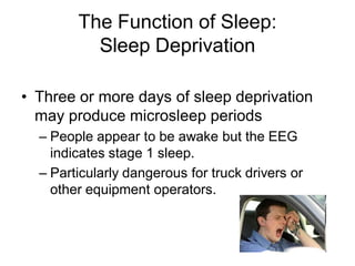 The Function of Sleep:
Sleep Deprivation
• Three or more days of sleep deprivation
may produce microsleep periods
– People appear to be awake but the EEG
indicates stage 1 sleep.
– Particularly dangerous for truck drivers or
other equipment operators.
 