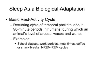 Sleep As a Biological Adaptation
• Basic Rest-Activity Cycle
– Recurring cycle of temporal packets, about
90-minute periods in humans, during which an
animal’s level of arousal waxes and wanes
– Examples:
• School classes, work periods, meal times, coffee
or snack breaks, NREM-REM cycles
 