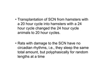 • Transplantation of SCN from hamsters with
a 20 hour cycle into hamsters with a 24
hour cycle changed the 24 hour cycle
animals to 20 hour cycles.
• Rats with damage to the SCN have no
circadian rhythms, i.e., they sleep the same
total amount, but polyphasically for random
lengths at a time
 