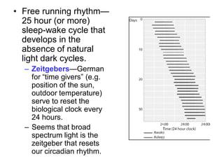 • Free running rhythm—
25 hour (or more)
sleep-wake cycle that
develops in the
absence of natural
light dark cycles.
– Zeitgebers—German
for “time givers” (e.g.
position of the sun,
outdoor temperature)
serve to reset the
biological clock every
24 hours.
– Seems that broad
spectrum light is the
zeitgeber that resets
our circadian rhythm.
 