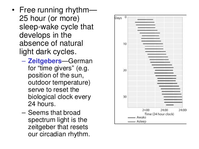 free run circadian rhythms free run circadian rhythms