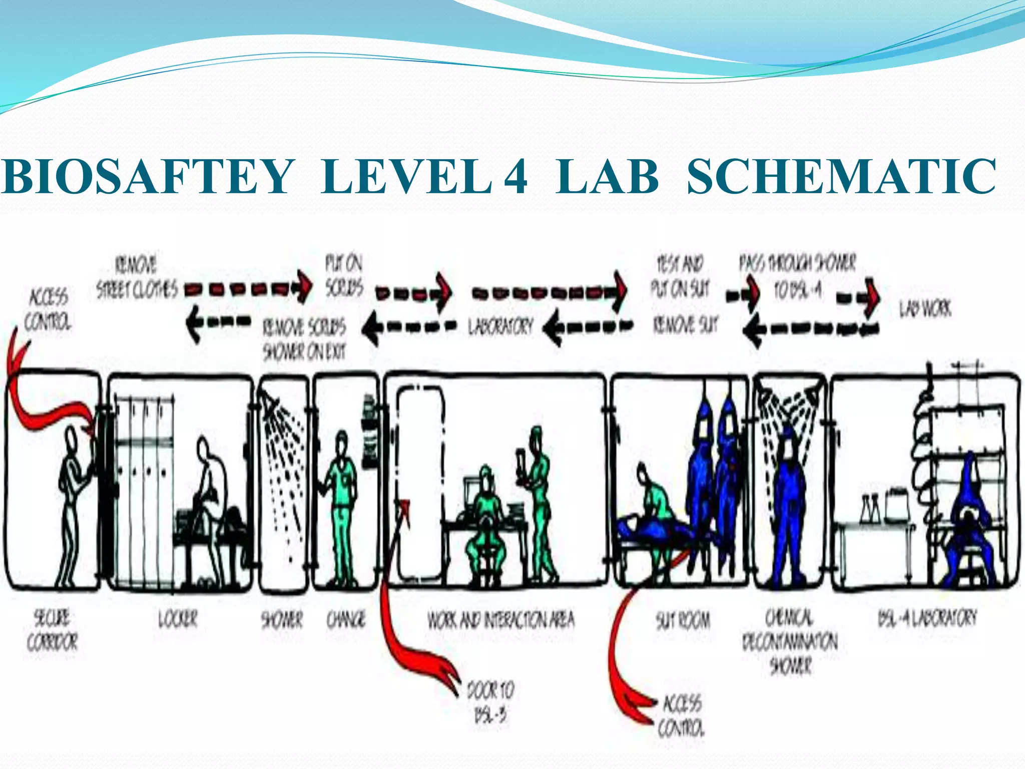 Biological safety cabinets and its Use In Culturing | PPTX