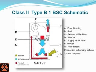Biological safety cabinets and its Use In Culturing | PPTX