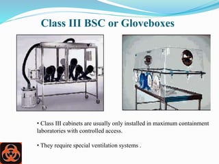 Biological safety cabinets and its Use In Culturing | PPTX