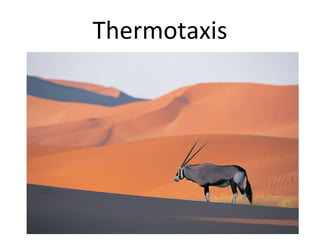 Biological science | PPT
