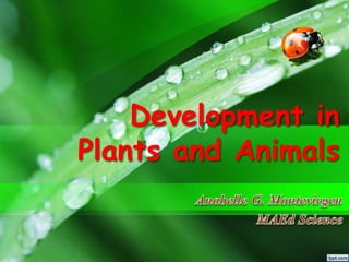 Development in
Plants and Animals
 